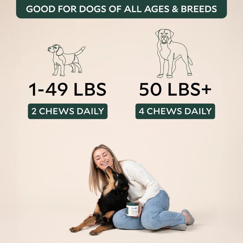 Probiotics For Gut & Digestive Health - Itching, Licking & Skin Irritation