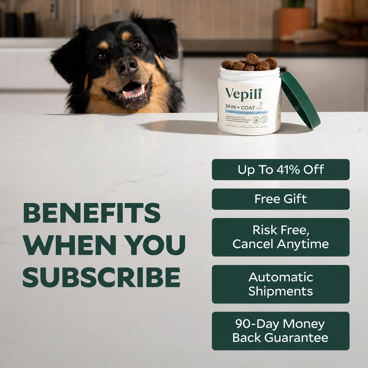 Probiotics For Gut & Digestive Health - Itching, Licking & Skin Irritation