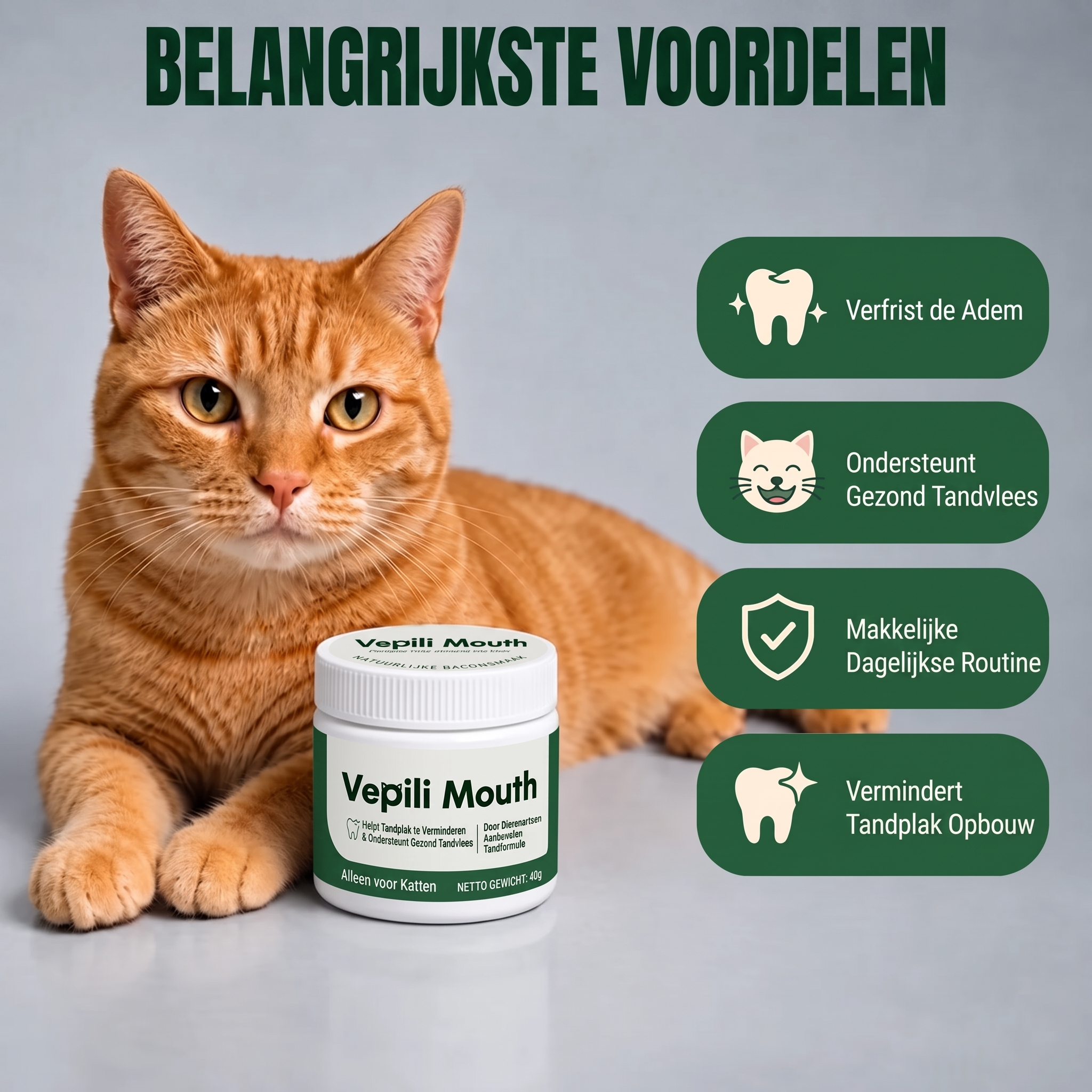 Vepili Mondzorg voor Katten – Schoon Gebit & Frisse Adem