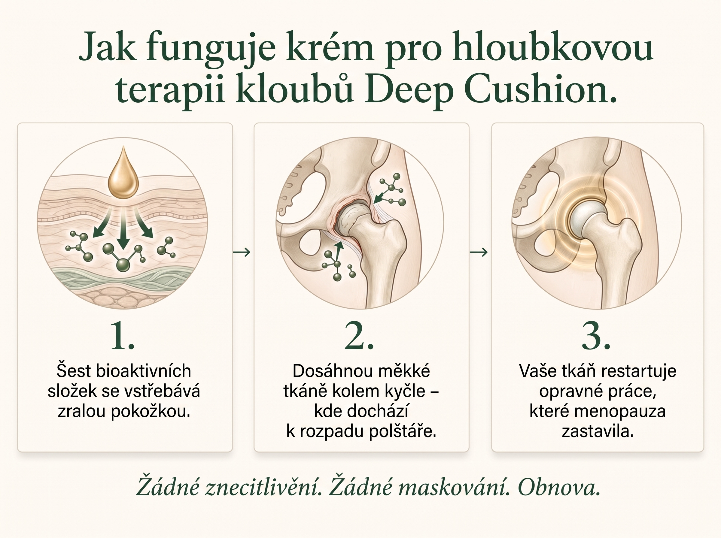 Vepili Organics Hloubková úleva – regenerační krém na bolavé klouby