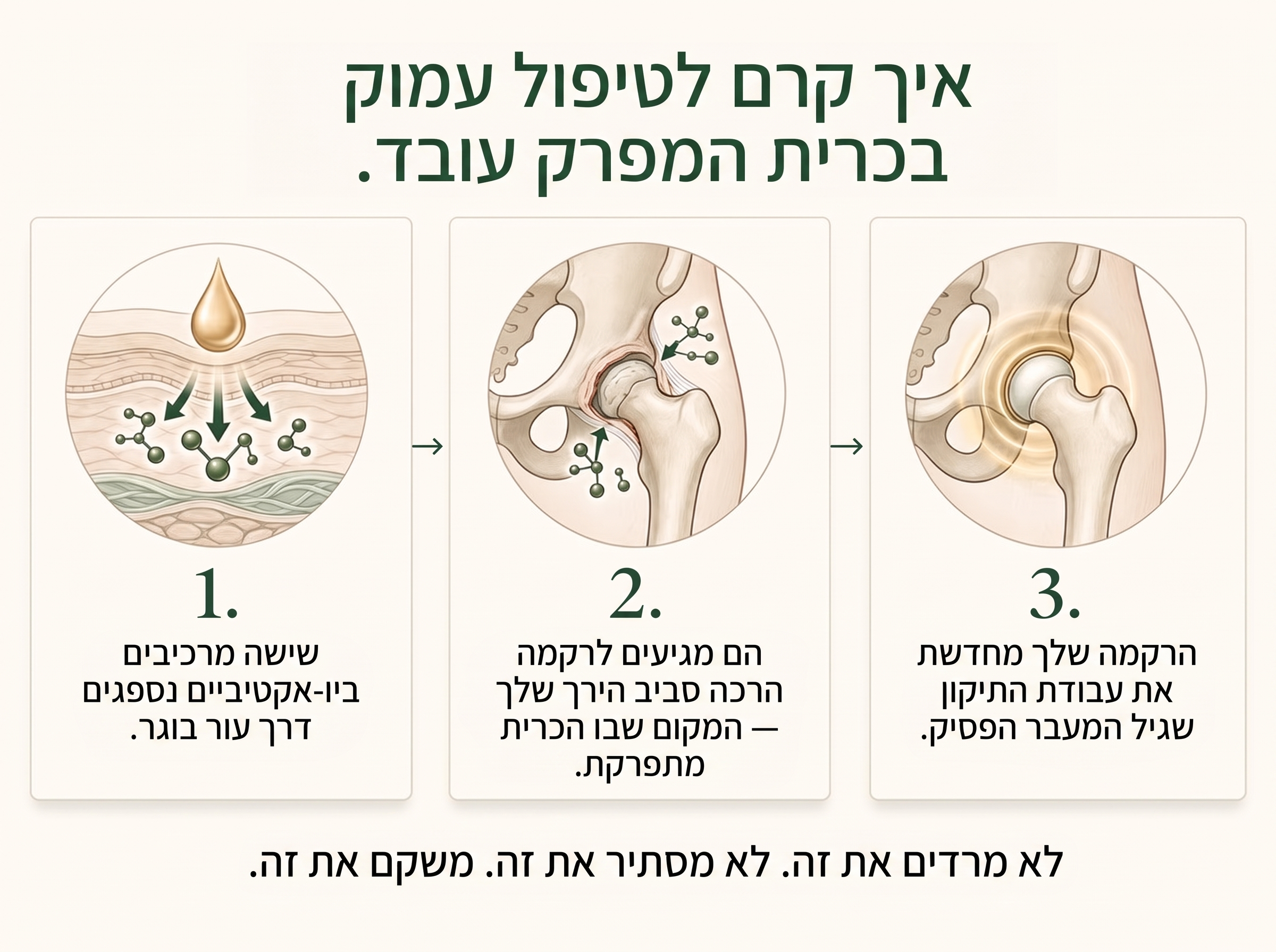 Vepili Organics קרם טיפולי למפרקים – ריפוד והקלה עמוקה לתנועה חופשית
