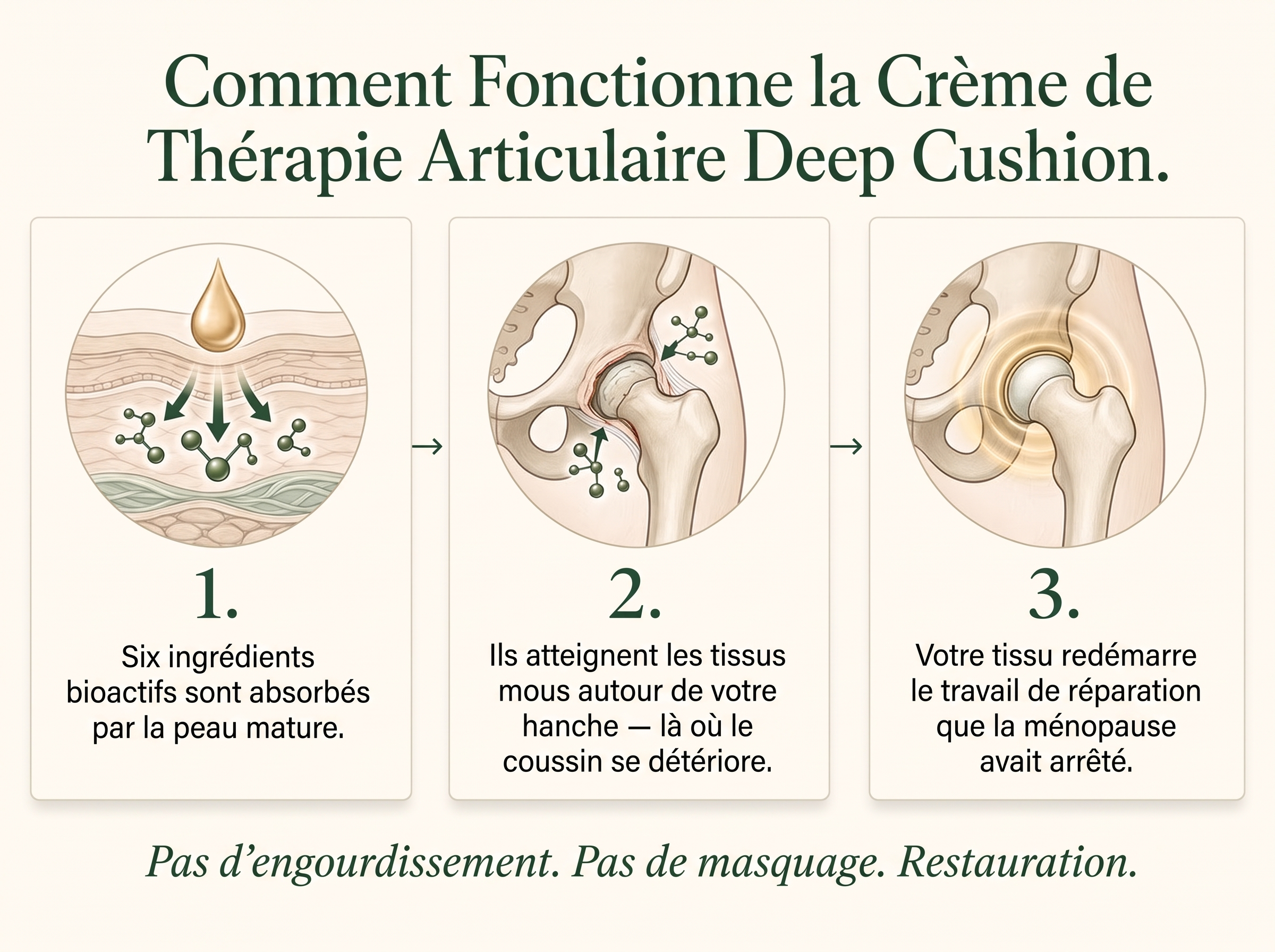 Vepili Organics Crème Articulations Confort Profond – Soin Intensif