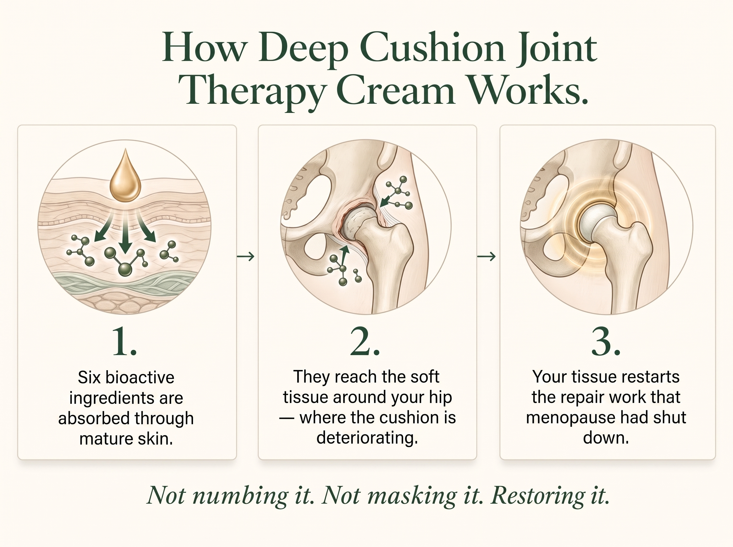 Vepili Organics Deep Cushion Joint Relief Therapy Cream