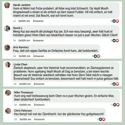 3x Vepili Maulpflege für Katzen